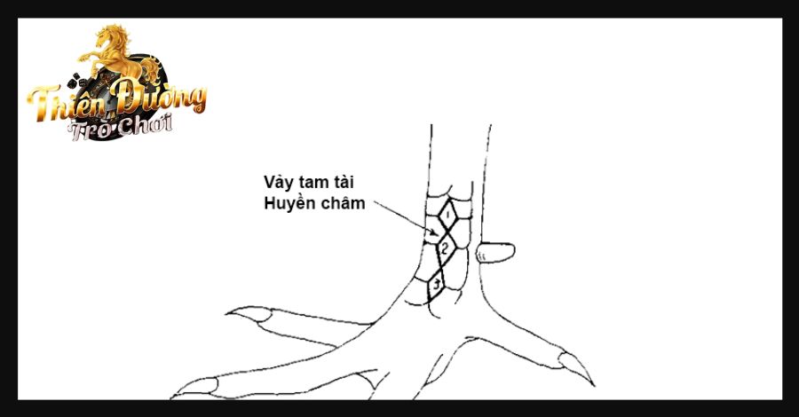 Vảy tam tài huyền châm độc đáo